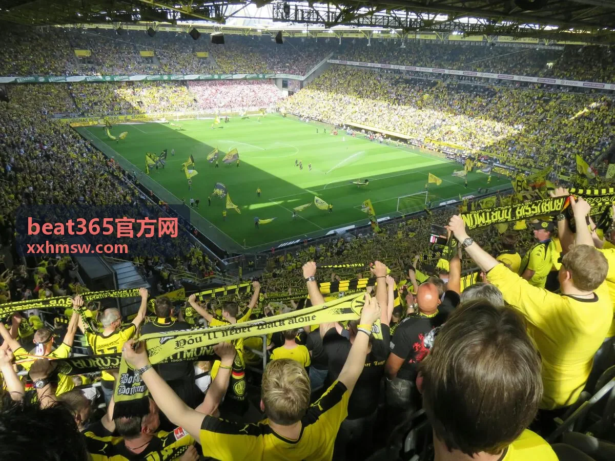 beat365官方网平台功能服务功能模块展示